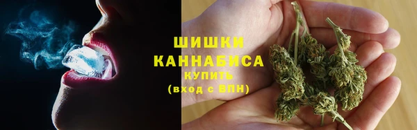 шишки Алексин