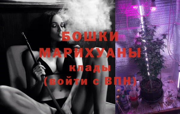 амф Алзамай