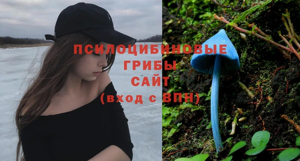 шишки Алексин