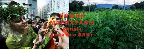 шишки Алексин