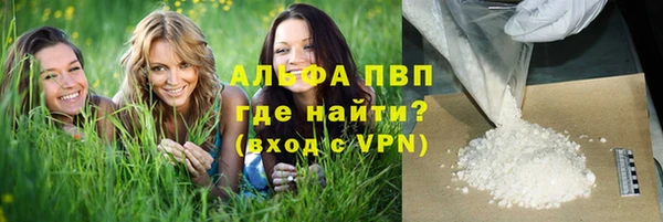 шишки Алексин