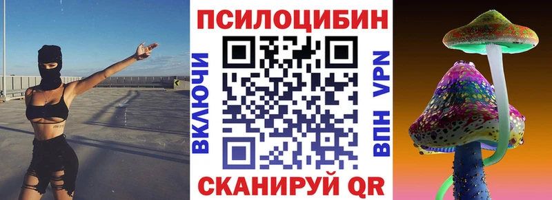 закладки  Бирск  Псилоцибиновые грибы MAGIC MUSHROOMS 
